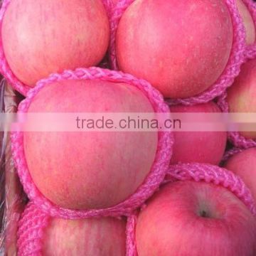 2014 fuji apple from Yantai with best quality