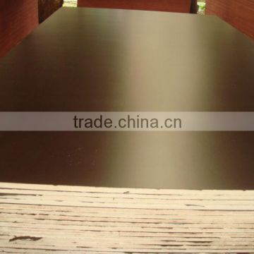 12mm, eucalyptus and poplar core(combi), wbp glue,brown film faced plywood from China Linyi