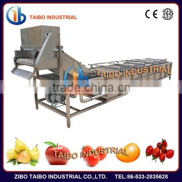 Professional fruit and vegetable washer: air bubble peach washing machine