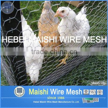 Galvanized hexagonal wire mesh 1inch factory
