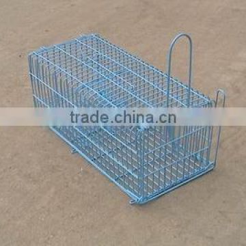 rat trap cage