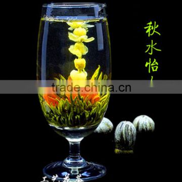 2015 blooming tea Lilies and Jasmine flower tea blooms