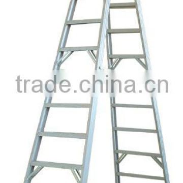 Trestle Ladder