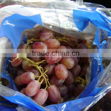 tomson grapes