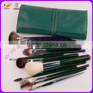 Green Color Professional Makeup Brush Set 16pcs in Pouch
