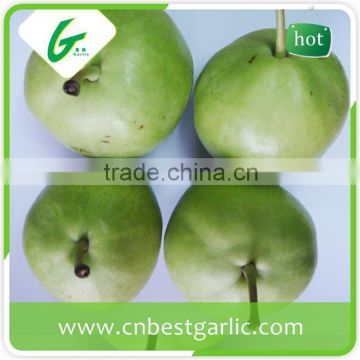 Chinese crystal bulk su pear