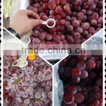 Chinese fresh fruit of fresh grapes