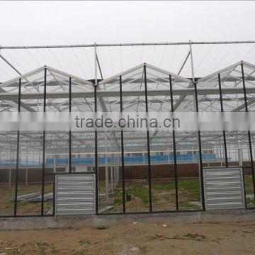 Design multi-Span agricultural greenhouse for middle east