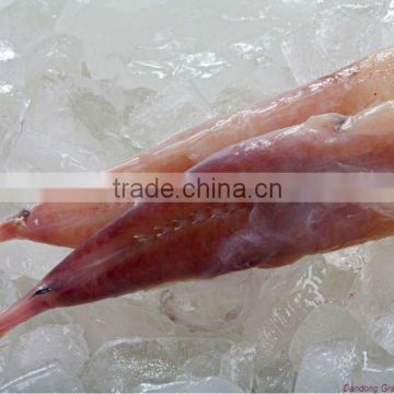 seafood wild monkfish tail meat