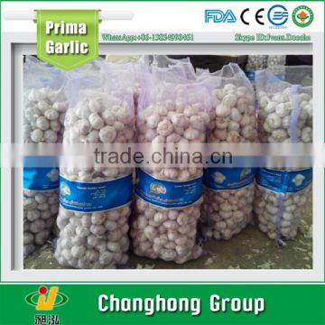 normal white garlic 4 cm with lowest price for Vietnam Market