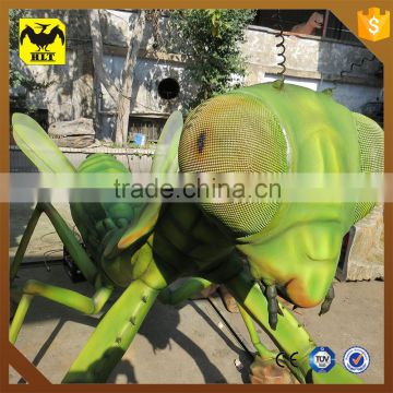 HLT live insects for sale