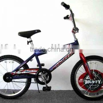Boy Coaster Brake Bike