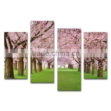Sakura cherry blossom canvas prints pink flowers wall art