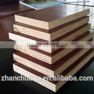 Popular plywood 18mm baltic birch plywood