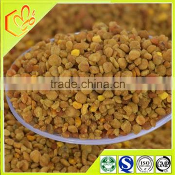 high protein health products buckwheat bee pollen from China mountain
