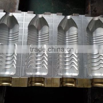 PP PE and PET blow mold