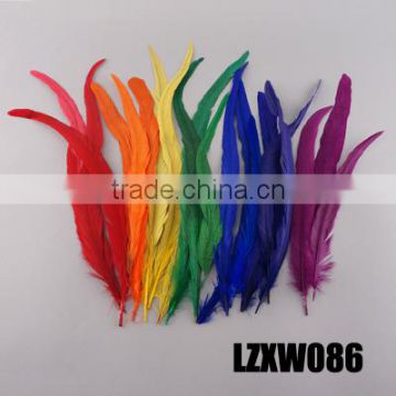 Dyed coque feather tails LZXW086