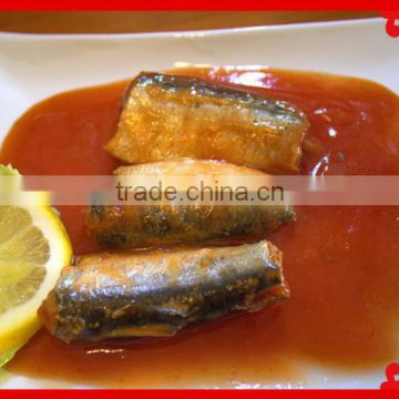 canned sardine with tomato sauce 425g for Paraguary