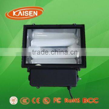 80W china new product energy saving lvd induction flood light