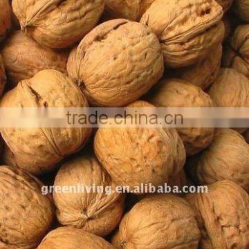 China walnuts with good quality and price
