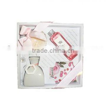 100ml Home fragrance Sola Flower Diffuser with ceramic jar, air fresher gift set SA-0136