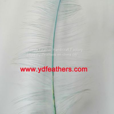 Burnt Ostrich Feather Plume Dyed Green from China