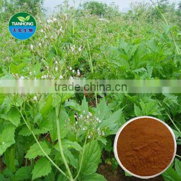 Valeriana Officinalis Extract in good quality Valerianic Acid
