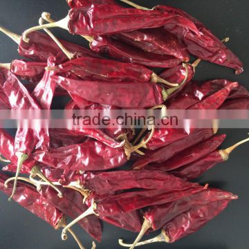 red chilli (JINTA)