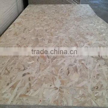OSB for Russia Construction Melamine glue OSB 3 (Oriented Strand Board) with cheap price