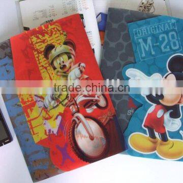 2012 snap pp file folder