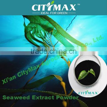 100% water soluble high organic matter blue green algae powder fertilizer