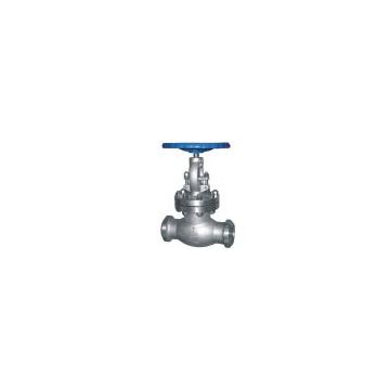 ANSI carbon steel Butt weld globe valve(sale@bjvalves.com)