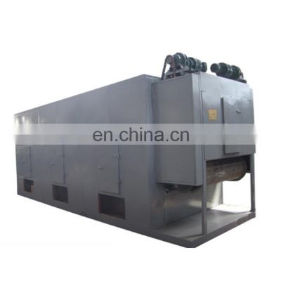 DW/DWT Hot Air Circulating Mesh Belt Dryer Conveyor Dryer Dehydrator for laver/Porphyra tenera/nori
