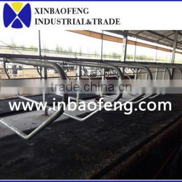 cattle free stall cattle cubicles cattle panels