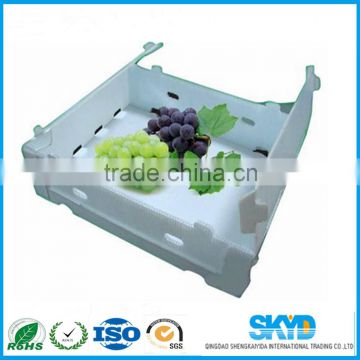 PP Corrugated Plastic Fresh Fruit Boxes food containers