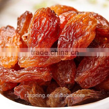 Chinese best quality new crop2015 red sultana raisins