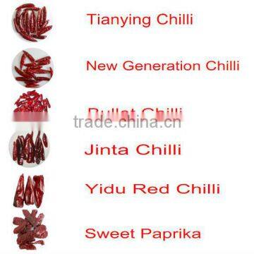 dried chili pepper