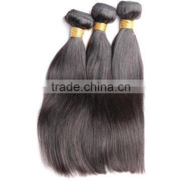 Unprocessed Brazilian Virgin Hair Straight,Great Brazilian Straight Hair 3 bundles lot, free shipping 8"-30" Human Hair
