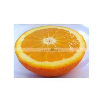nice tasty orange...best quality navel orange from egypt
