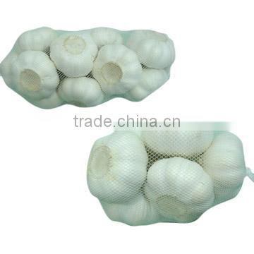 Chinese New Crop White Garlic