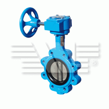 Lug Type Concentric Butterfly Valve