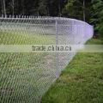 wire mesh Fence (high quality)