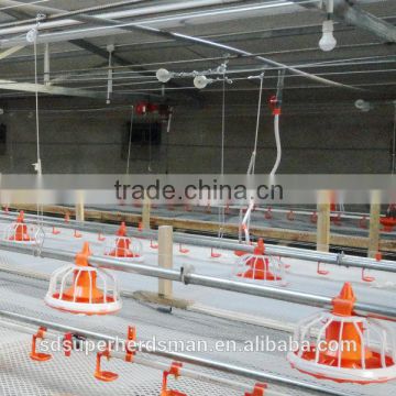 Automatic poultry farm for chicken drinking and feeding