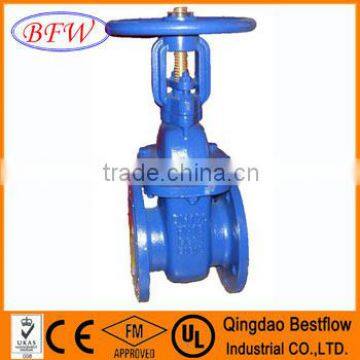 Cast Iron Metal Seated Gate Valve API Standard