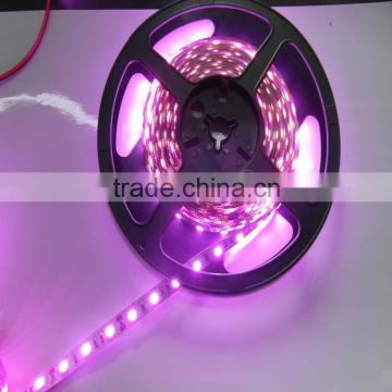 DC12v 5m 300 leds purple emitting color and CE,RoHS Certification indoor outdoor waterproof led uv strip 5050 led strip light