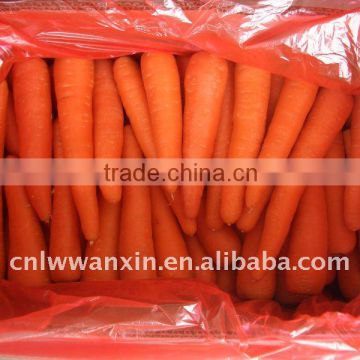 20kg mesh bag carrot