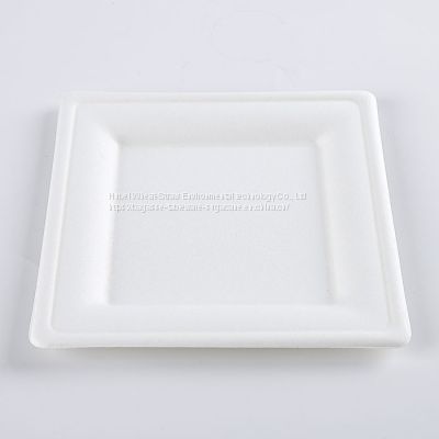 Disposable Biodegradable 8 INCH square plate Take away Sugarcane