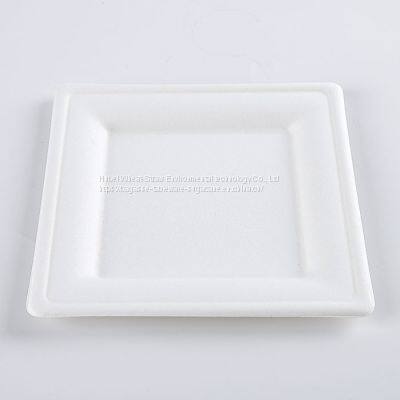 Disposable Biodegradable 10INCH square plate Take away Sugarcane