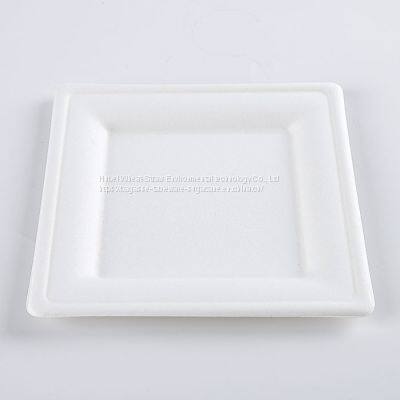 Disposable Biodegradable 8 INCH square plate Take away Sugarcane