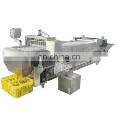 Full Automic Canned Peach Rice Garlic Cherry Apple Pear Apricot Production line